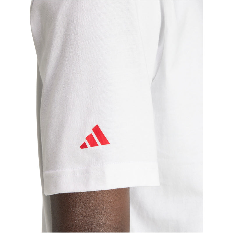 adidas FC Arsenal Seasonal Graphic T-Shirt 2025/26 Herren