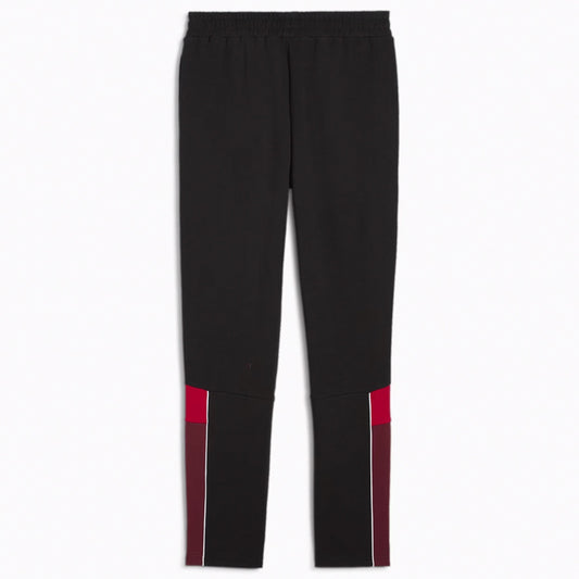 PUMA SFV Schweiz FtblArchive Jogginghose Herren