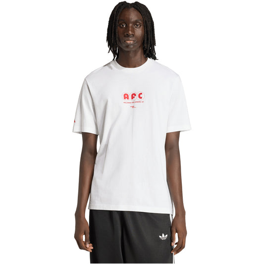 adidas FC Arsenal Seasonal Graphic T-Shirt 2025/26 Herren