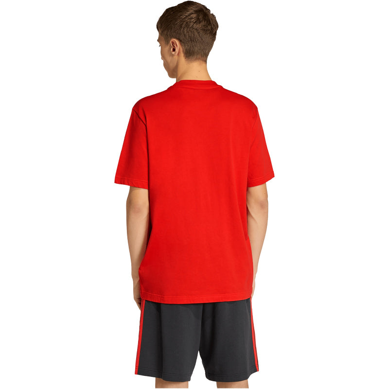 adidas RBFA Belgien DNA Graphic T-Shirt 2026 Herren