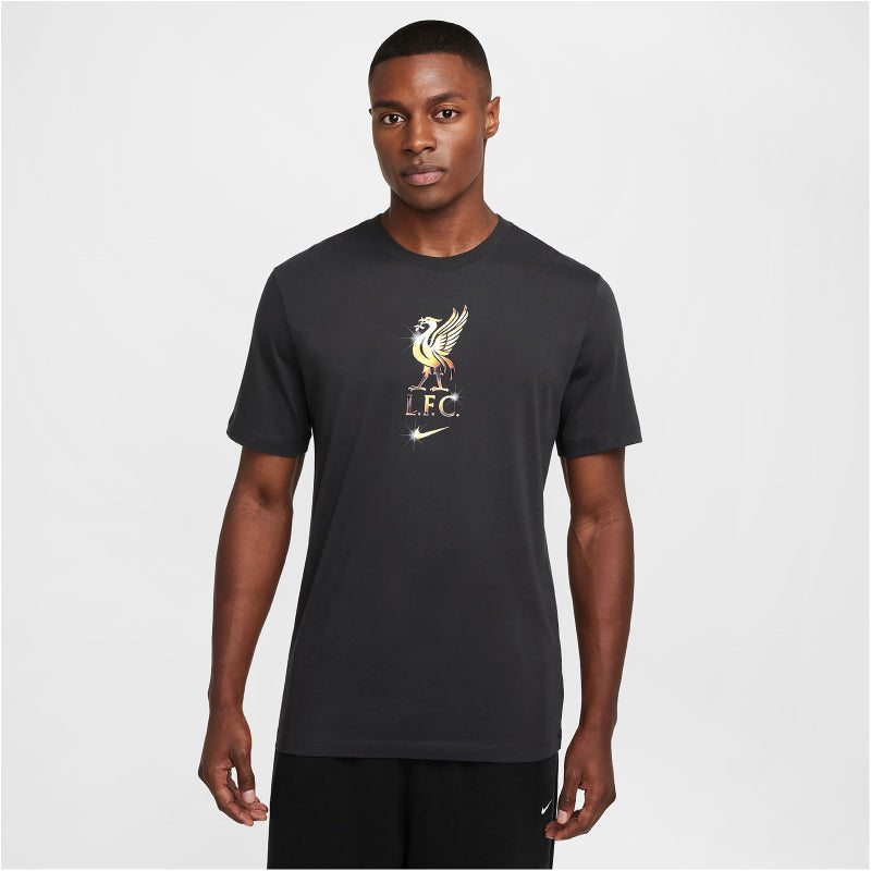 NIKE FC Liverpool Swoosh T-Shirt Herren