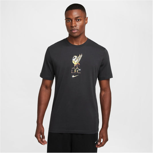 NIKE FC Liverpool Swoosh T-Shirt Herren