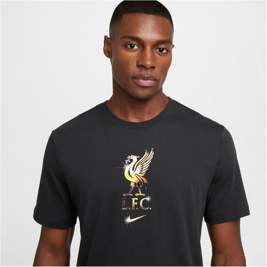 NIKE FC Liverpool Swoosh T-Shirt Herren