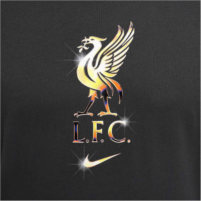 NIKE FC Liverpool Swoosh T-Shirt Herren