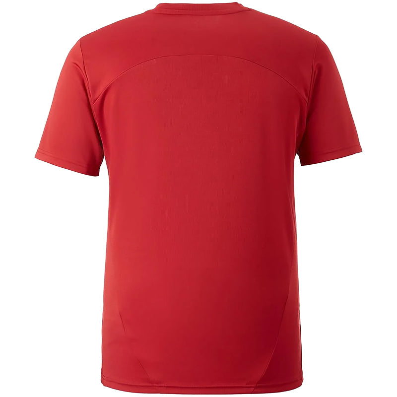 PUMA Galatasaray Istanbul Trainingsshirt Herren