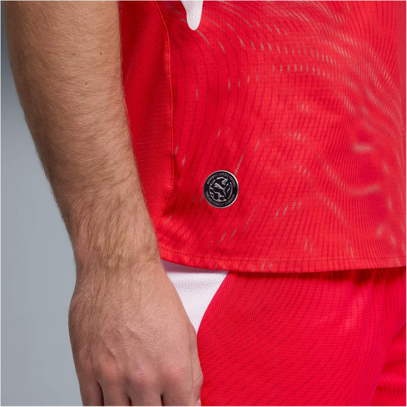 PUMA SFV Schweiz Authentic Heimtrikot 2026 Herren