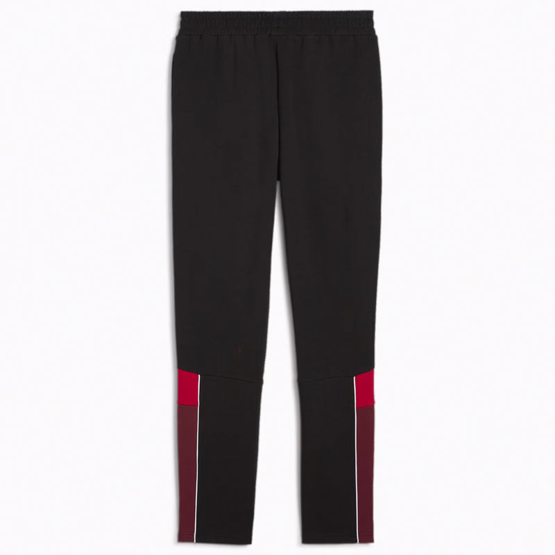 PUMA SFV Schweiz FtblArchive Jogginghose Herren